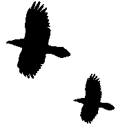 zweiflug.gif (801 Byte)